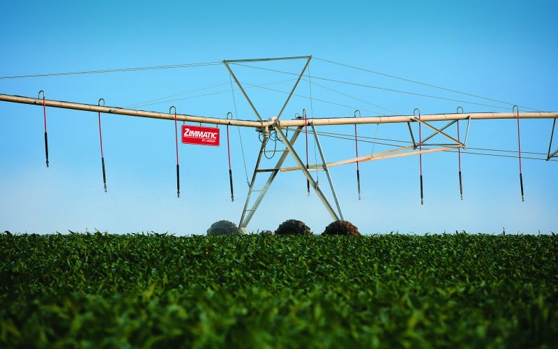 Com auxílio da irrigação, agricultor bate recorde de produtividade no milho