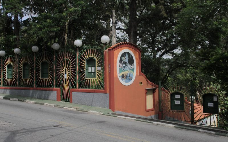 Rede Cultural Beija-Flor leva jovens de comunidades ao ensino superior com projeto Meninas Valentes