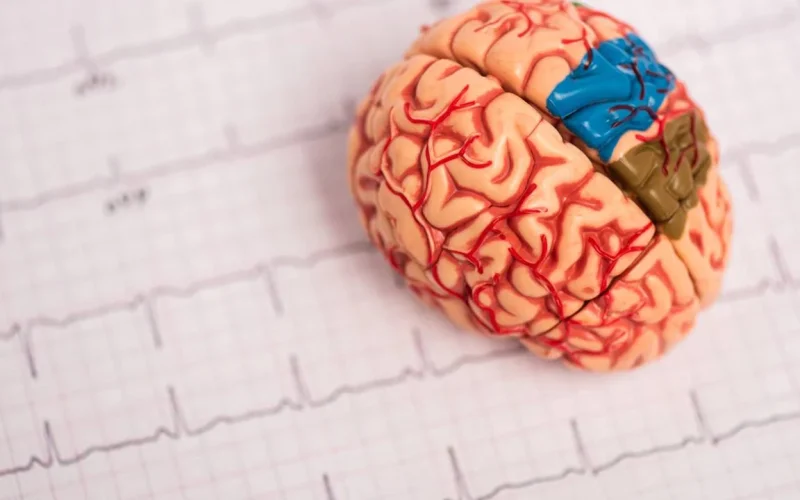 “Descubra cinco poderosos alimentos que beneficiam a saúde cerebral, além do café”