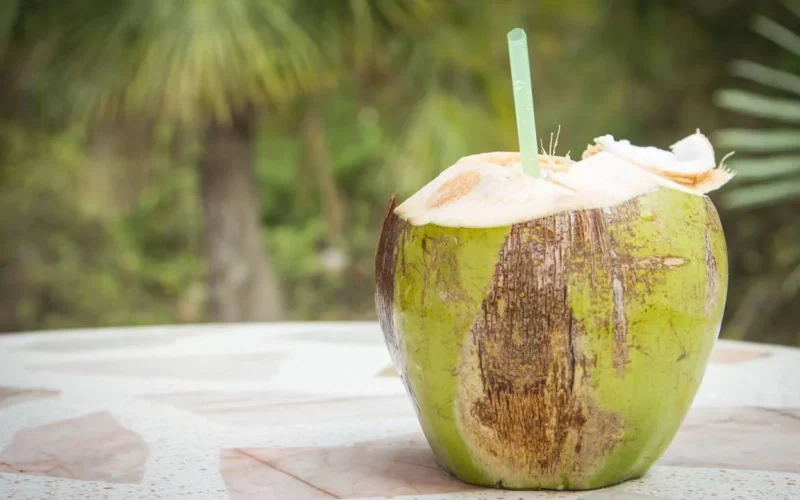 Benefícios e formas de incorporar água de coco em sua rotina
