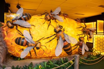 Insetos Colossais Tomam Conta de Brasília: Exposição Imersiva Inaugura Nesta Quinta-feira