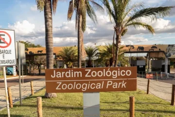 Zoológico de Brasília suspende atividades neste domingo devido ao segundo turno eleitoral