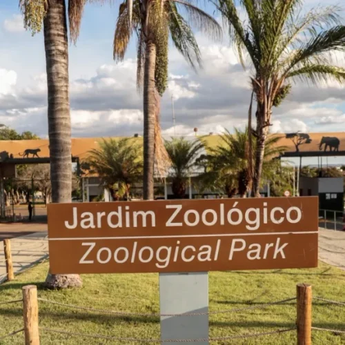 Zoológico de Brasília suspende atividades neste domingo devido ao segundo turno eleitoral