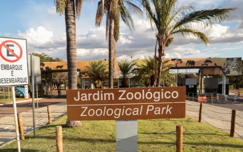 Zoológico de Brasília suspende atividades neste domingo devido ao segundo turno eleitoral